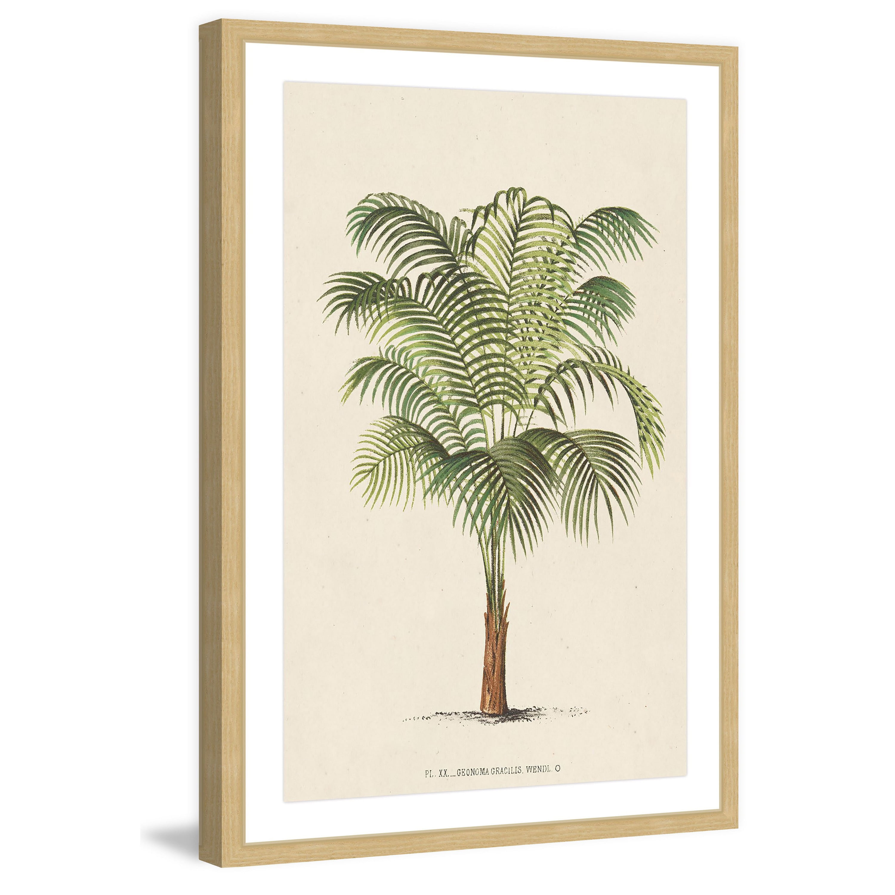 Marmont Hill "Les Palmiers II" Framed Painting Print