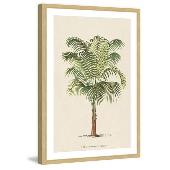 Marmont Hill "Les Palmiers II" Framed Painting Print