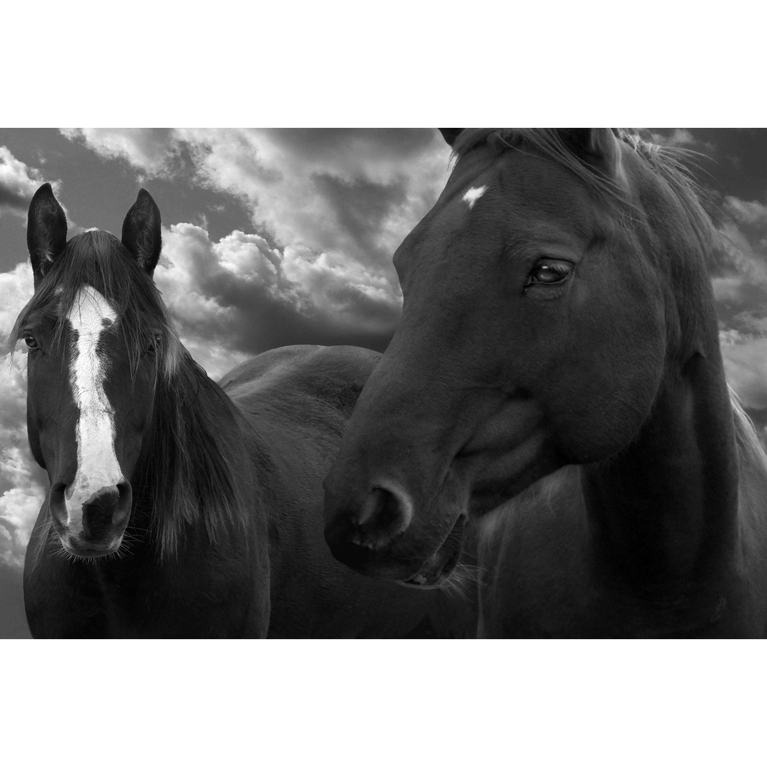 Marmont Hill "Let's Stay Together" by Maggie Dee Painting Print on Canvas