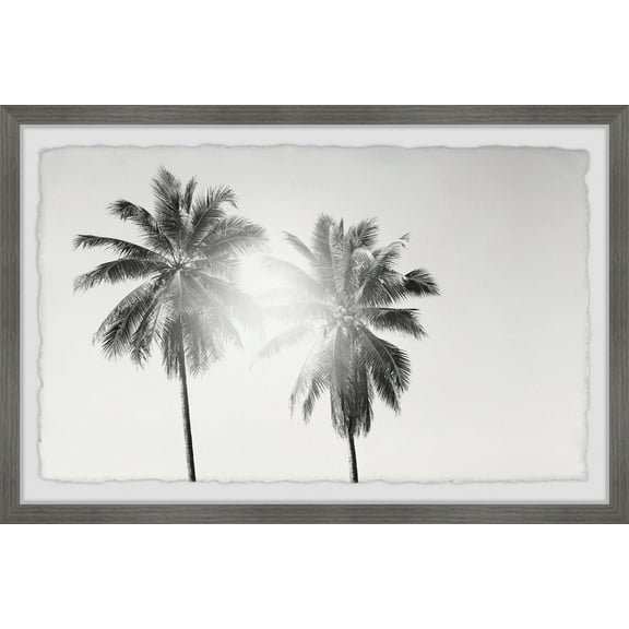 Marmont Hill Light From the Palm Framed Wall Art, 8" x 12"