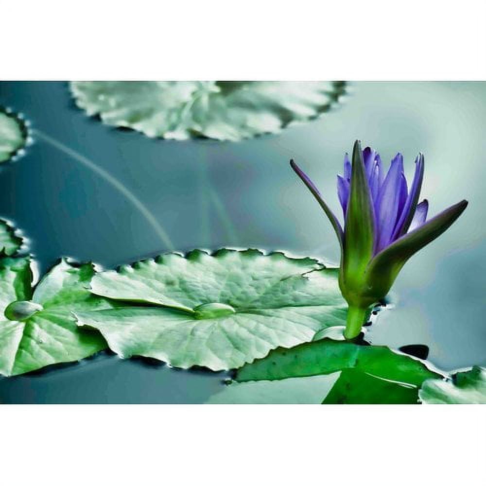 Marmont Hill "Lily on the Pond" Painting Print on Canvas