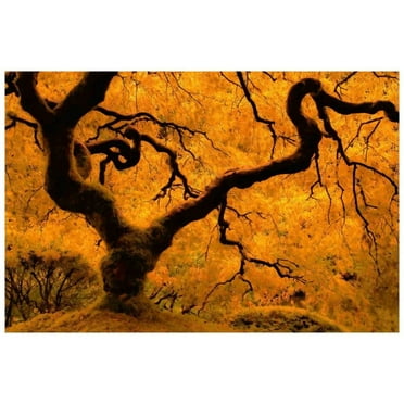 Marmont Hill "Limned in Light" Painting Print on Canvas