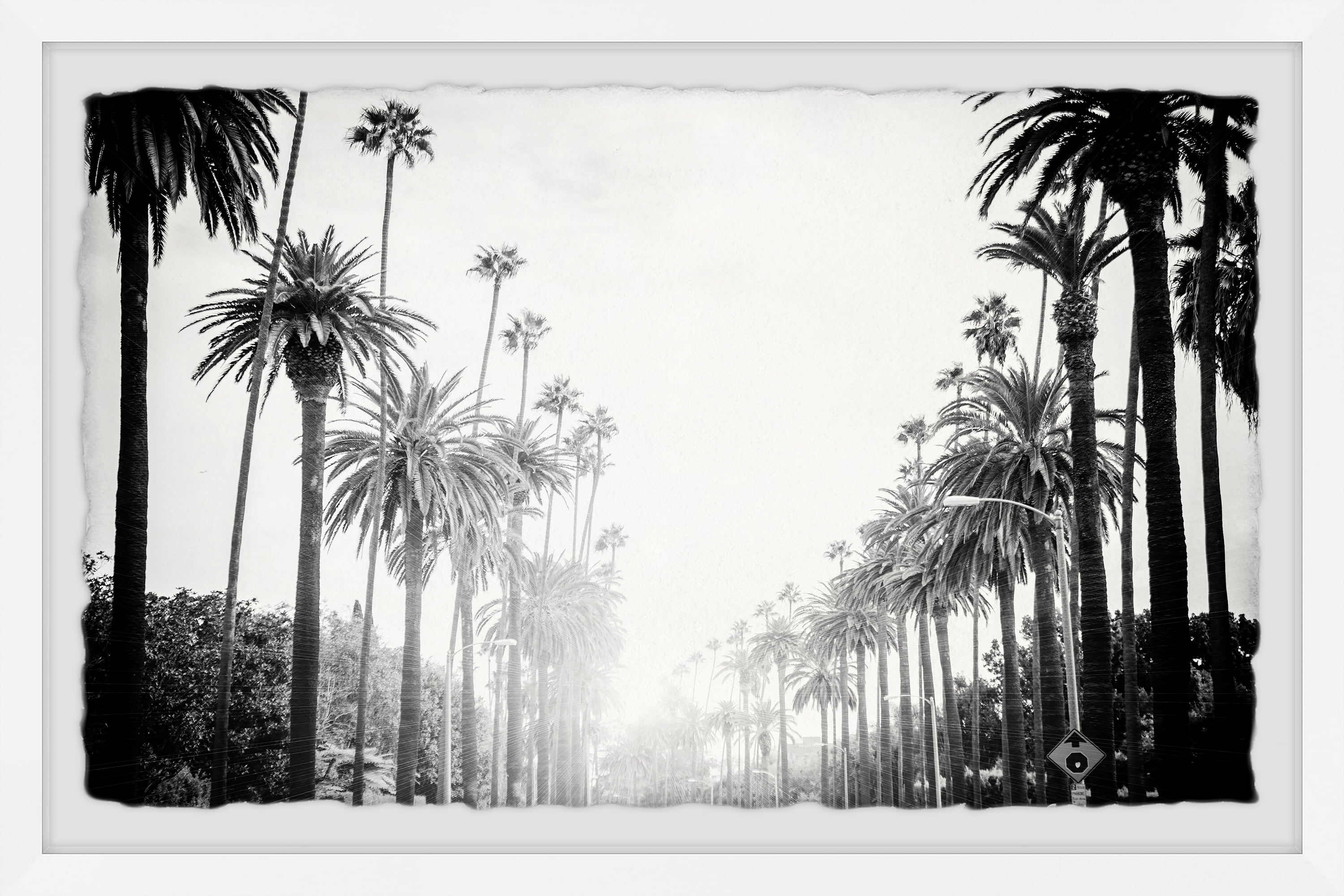 Marmont Hill Line of Palm Trees Framed Wall Art
