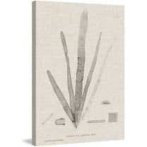 Marmont Hill "Linen Seaweed II" Painting Print on Wrapped Canvas