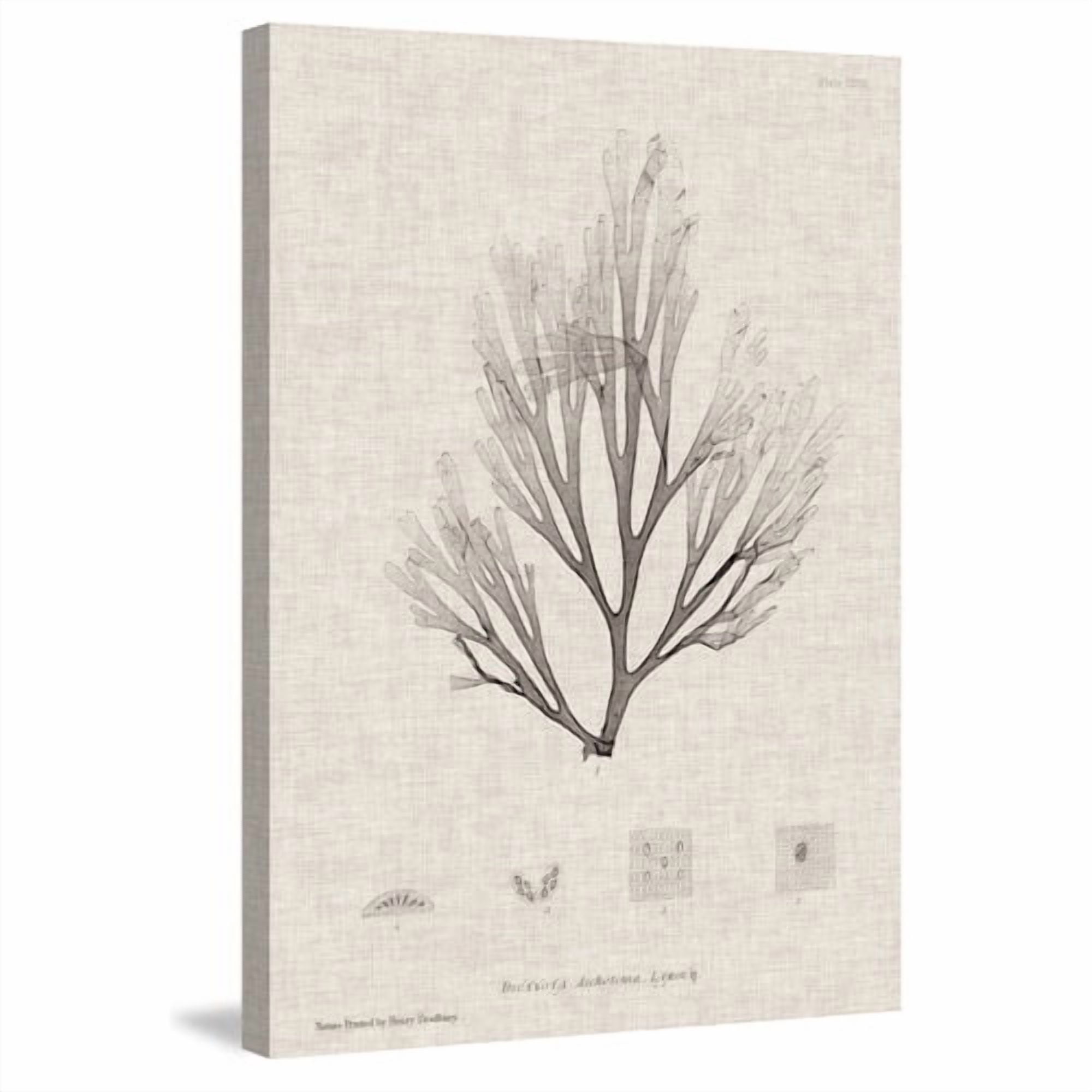Marmont Hill "Linen Seaweed III" Painting Print on Wrapped Canvas