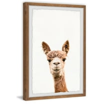 Marmont Hill Llama Face Iv Framed Wall Art, 8.00" x 1.50"
