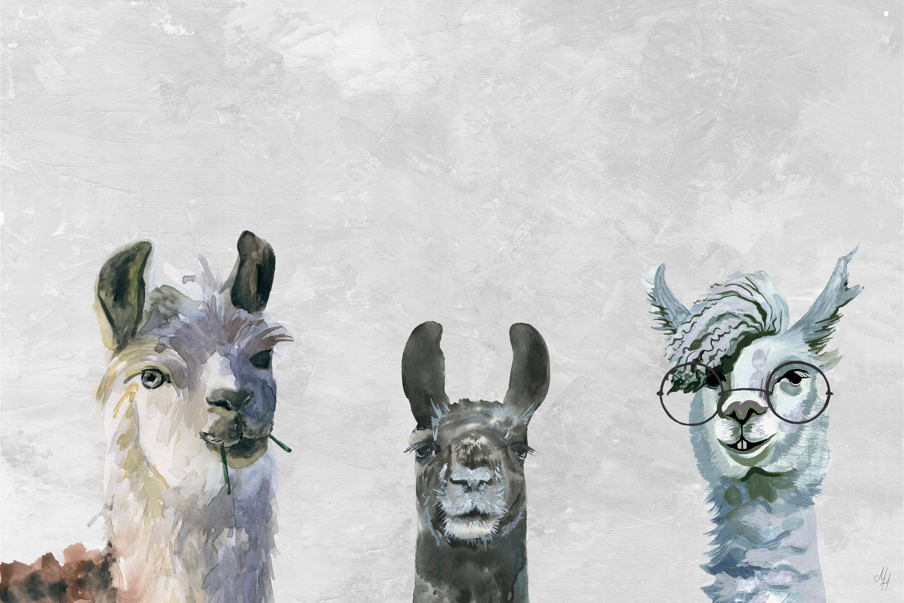 Marmont Hill Llama Squad II Canvas Wall Art