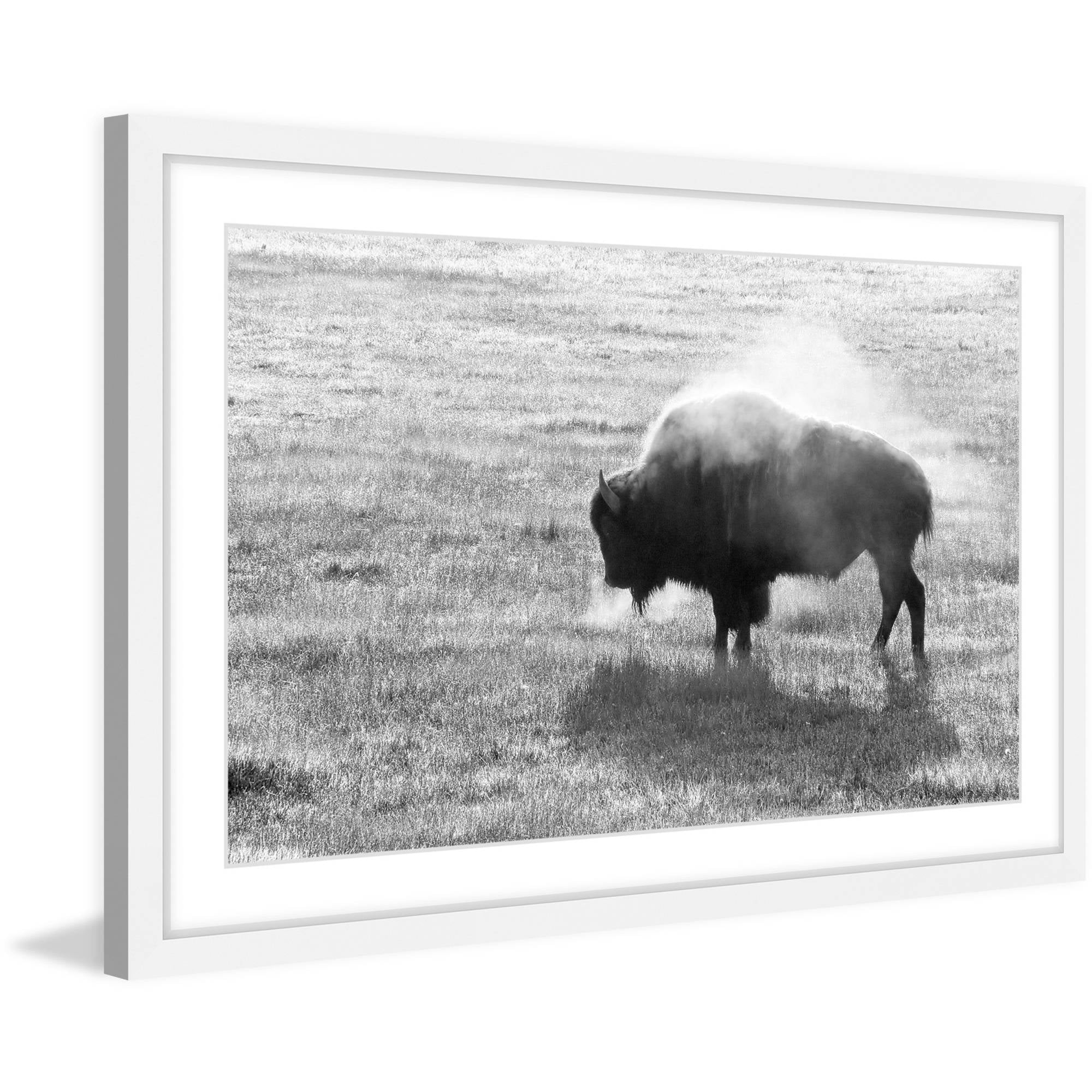 Marmont Hill "Lone Buffalo" Framed Painting Print