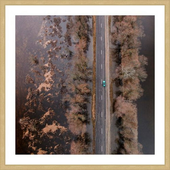 Marmont Hill "Lone Car" by Karolis Janulis Framed Painting Art Print