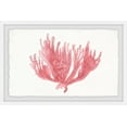 thumbnail image 1 of Marmont Hill Lone Coral Framed Wall Art, 16" x 24", 1 of 6