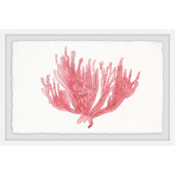 Marmont Hill Lone Coral Framed Wall Art, 24" x 36"
