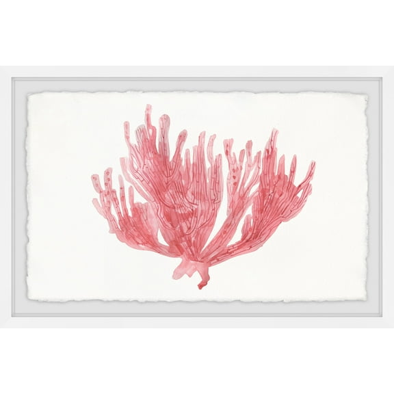Marmont Hill Lone Coral Framed Wall Art, 8" x 12"