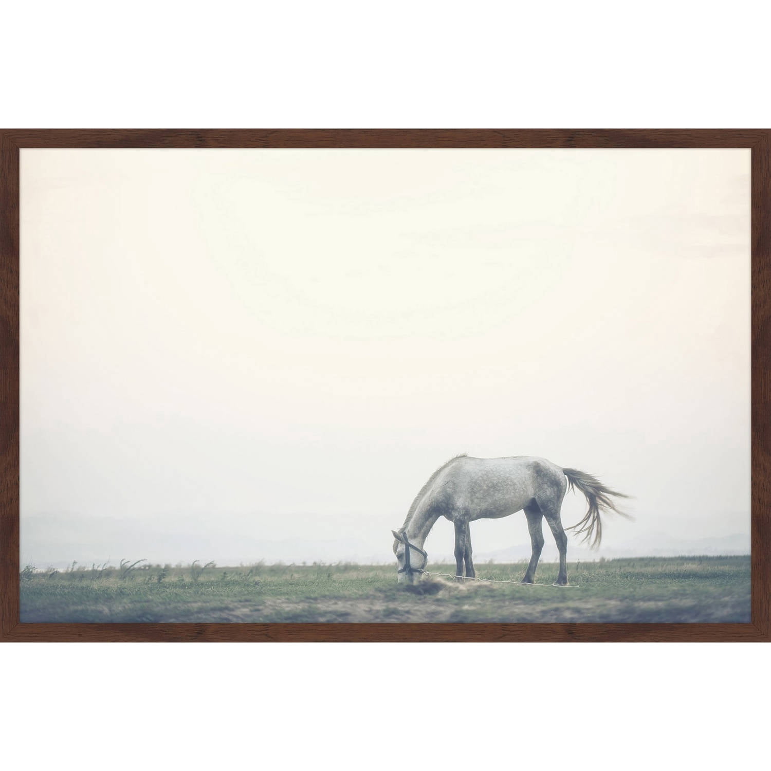 Marmont Hill "Lone Horse Grazing" Framed Painting Print