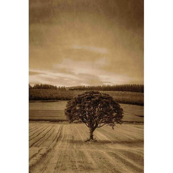 Marmont Hill "Lone Tree at Sunset" Painting Print on Canvas