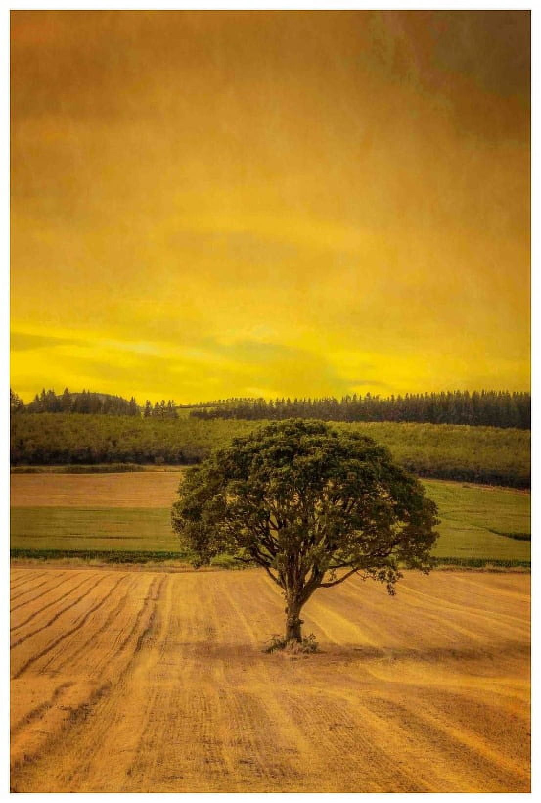 Marmont Hill "Lone Tree at Sunset" Painting Print on Canvas