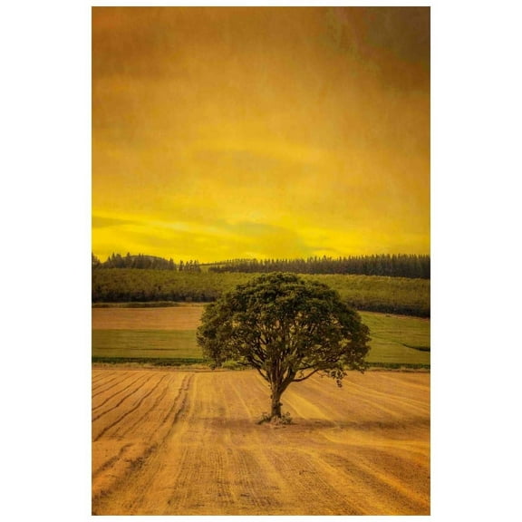 Marmont Hill "Lone Tree at Sunset" Painting Print on Canvas