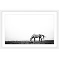 thumbnail image 1 of Marmont Hill "Lone White Equus" Framed Painting Print, 1 of 5