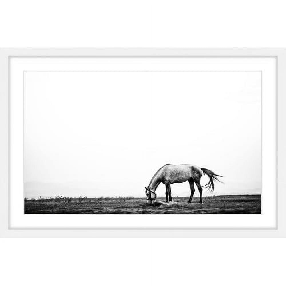 Marmont Hill "Lone White Equus" Framed Painting Print