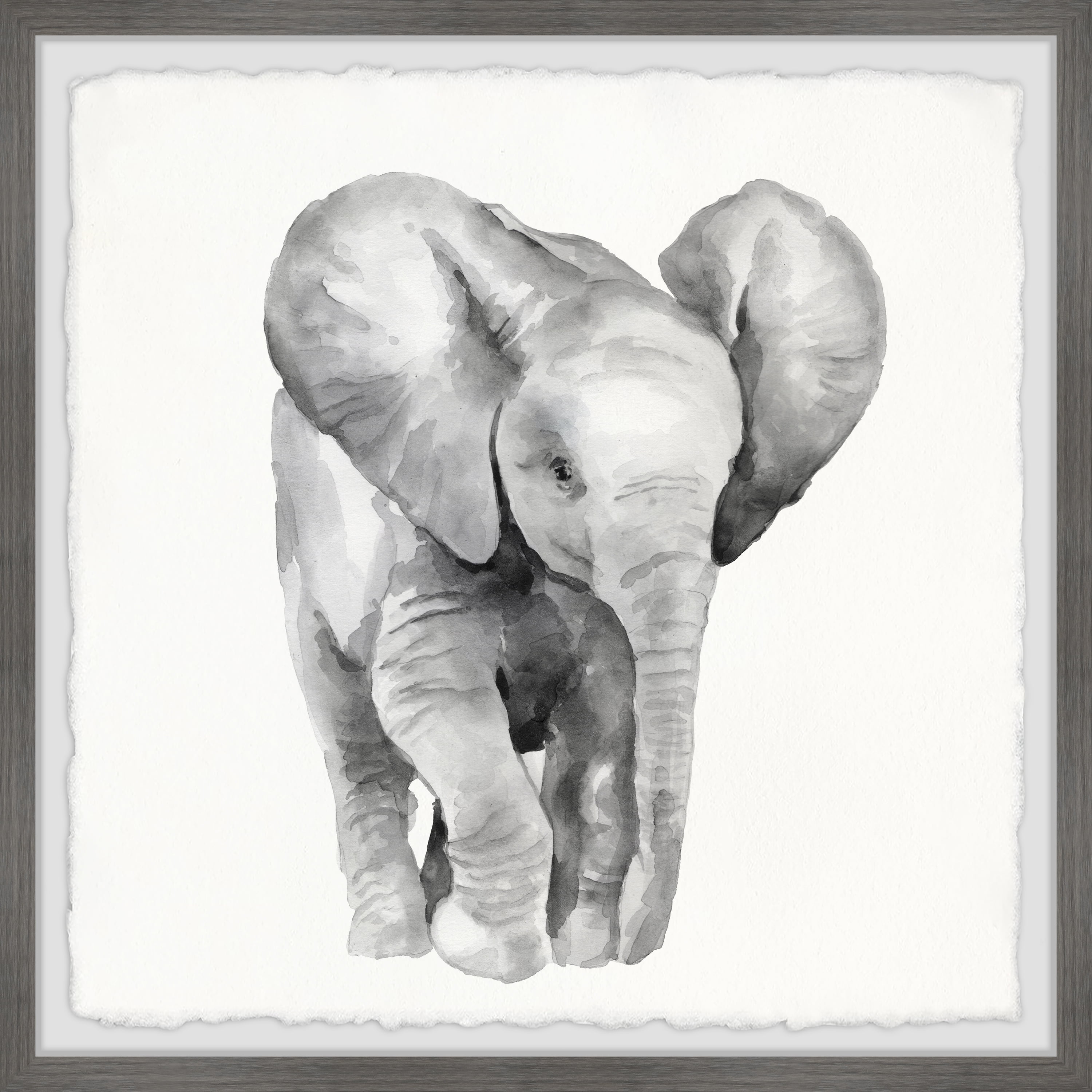 Gray Framed Elephant Canvas Print, 24" x 24"
