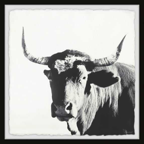 Marmont Hill Longhorns Stand Out Framed Painting Print