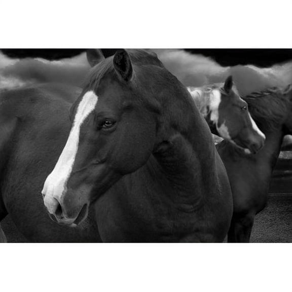 Marmont Hill "Look Out" by Maggie Dee Painting Print on Canvas