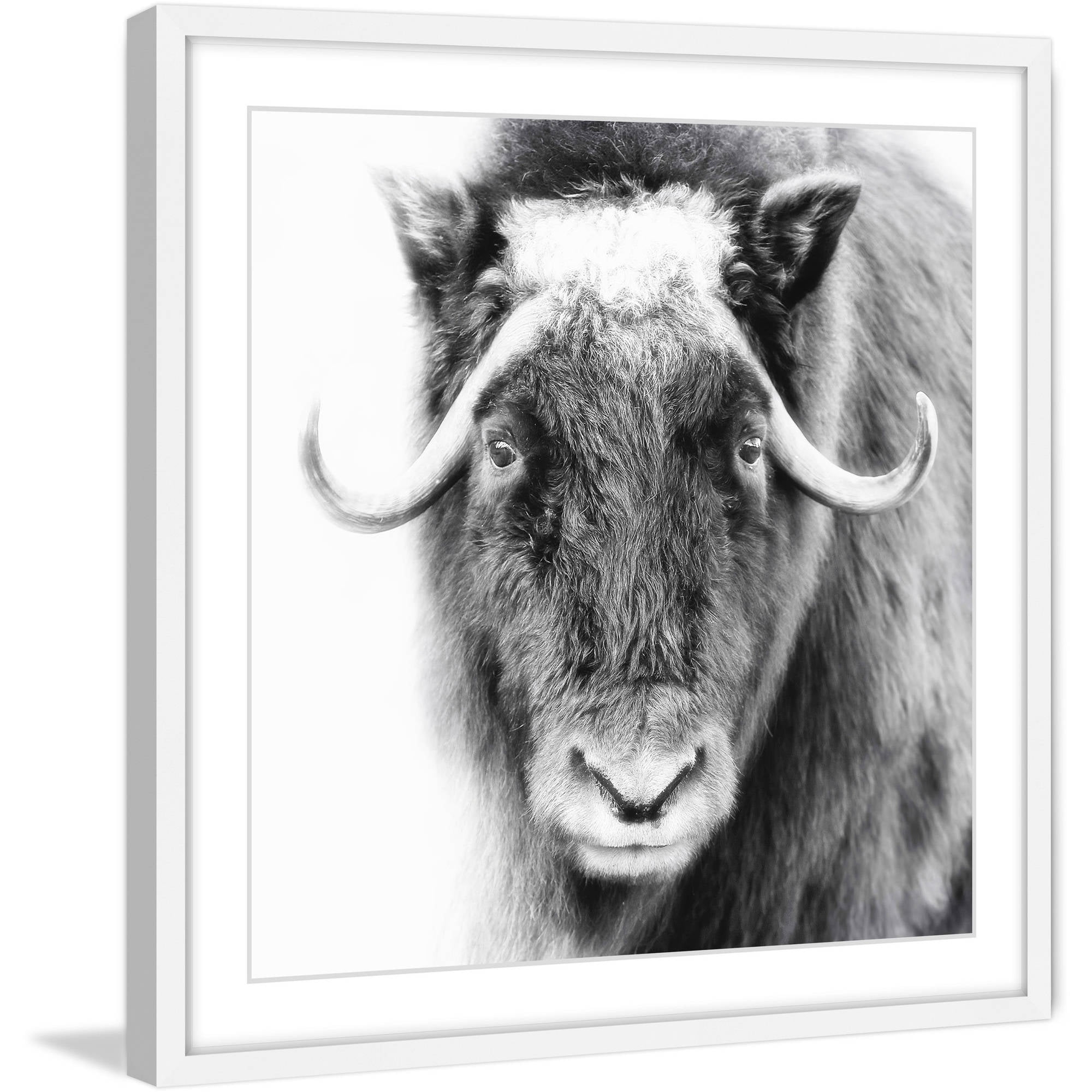 Marmont Hill "Look at Me" Framed Painting Print