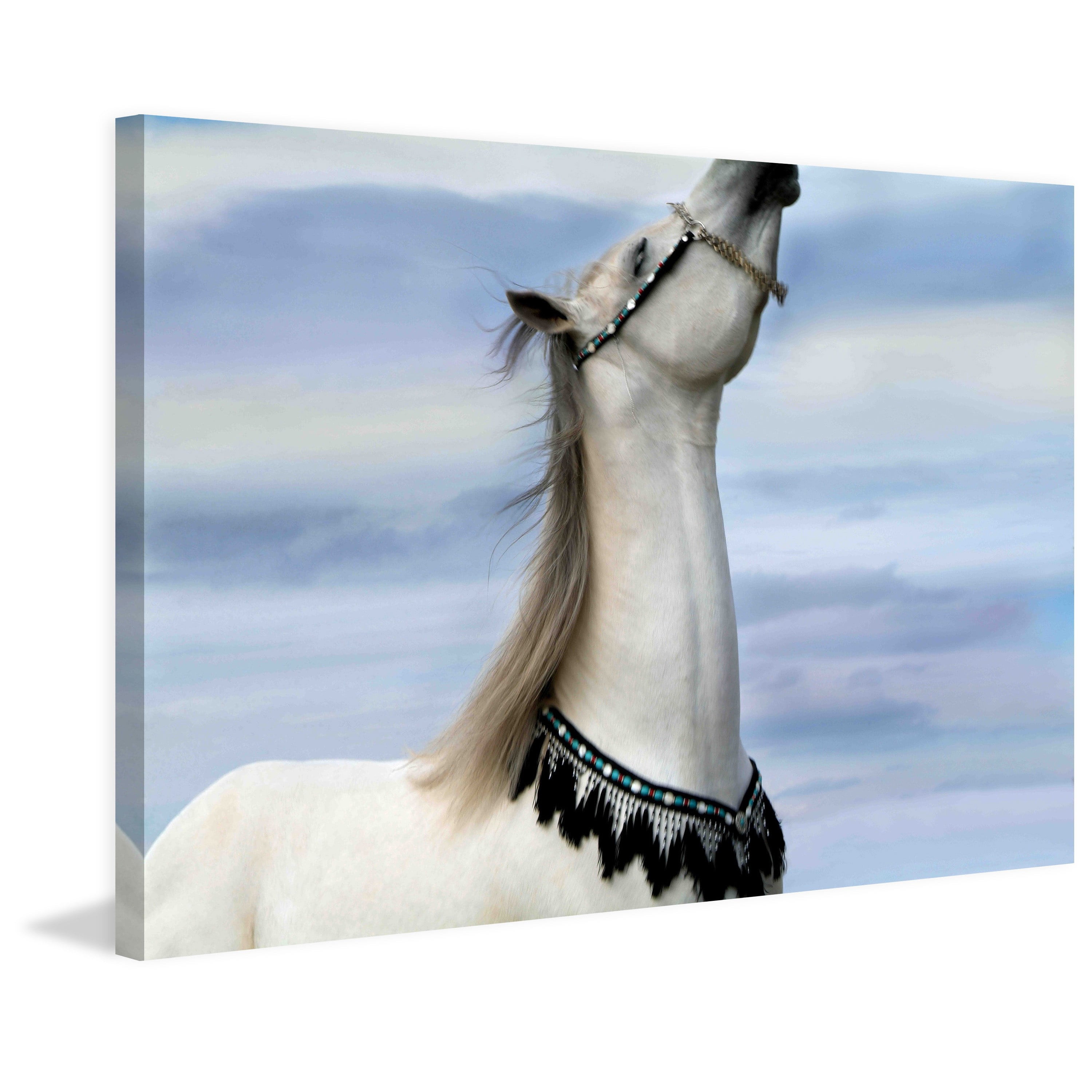 Marmont Hill "Lord of Prance" by Maggie Dee Painting Print on Canvas
