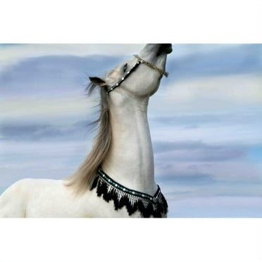 Marmont Hill "Lord of Prance" by Maggie Dee Painting Print on Canvas