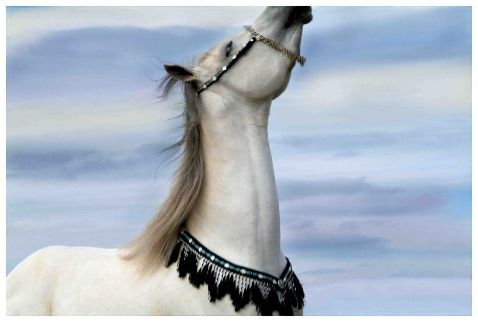 Marmont Hill "Lord of Prance" by Maggie Dee Painting Print on Canvas