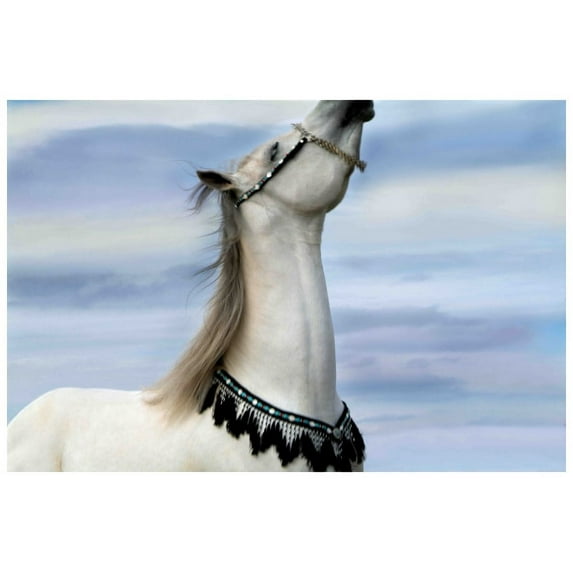 Marmont Hill "Lord of Prance" by Maggie Dee Painting Print on Canvas