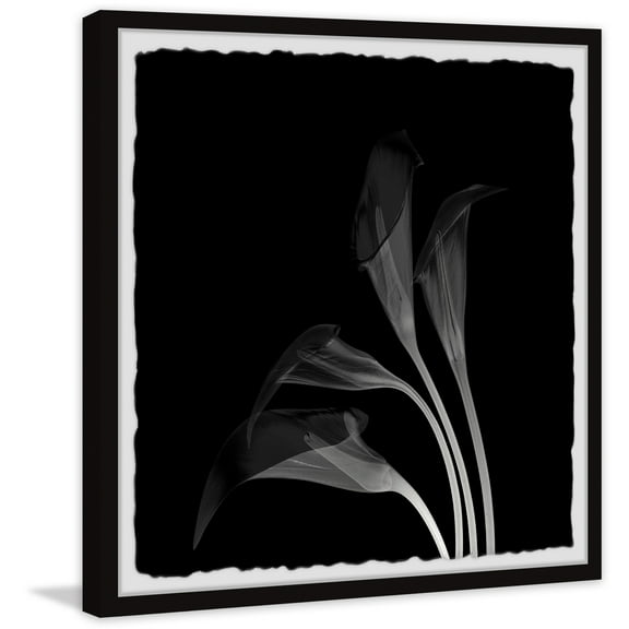 Marmont Hill Lovely Lillies Framed Painting Print