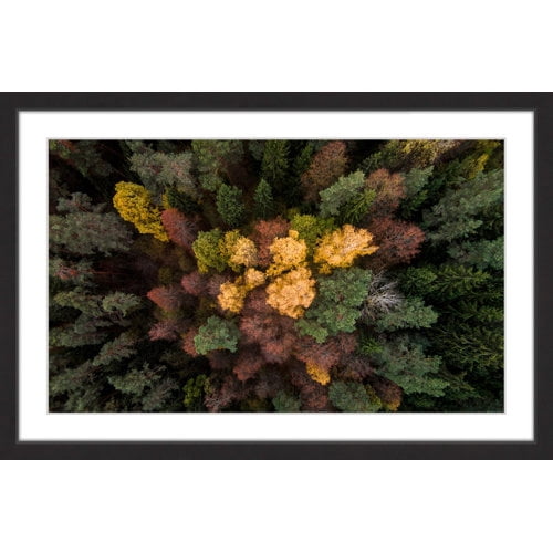 Marmont Hill "Luscious Flora" By Karolis Janulis Framed Painting Art Print, 24.0" x 1.5"