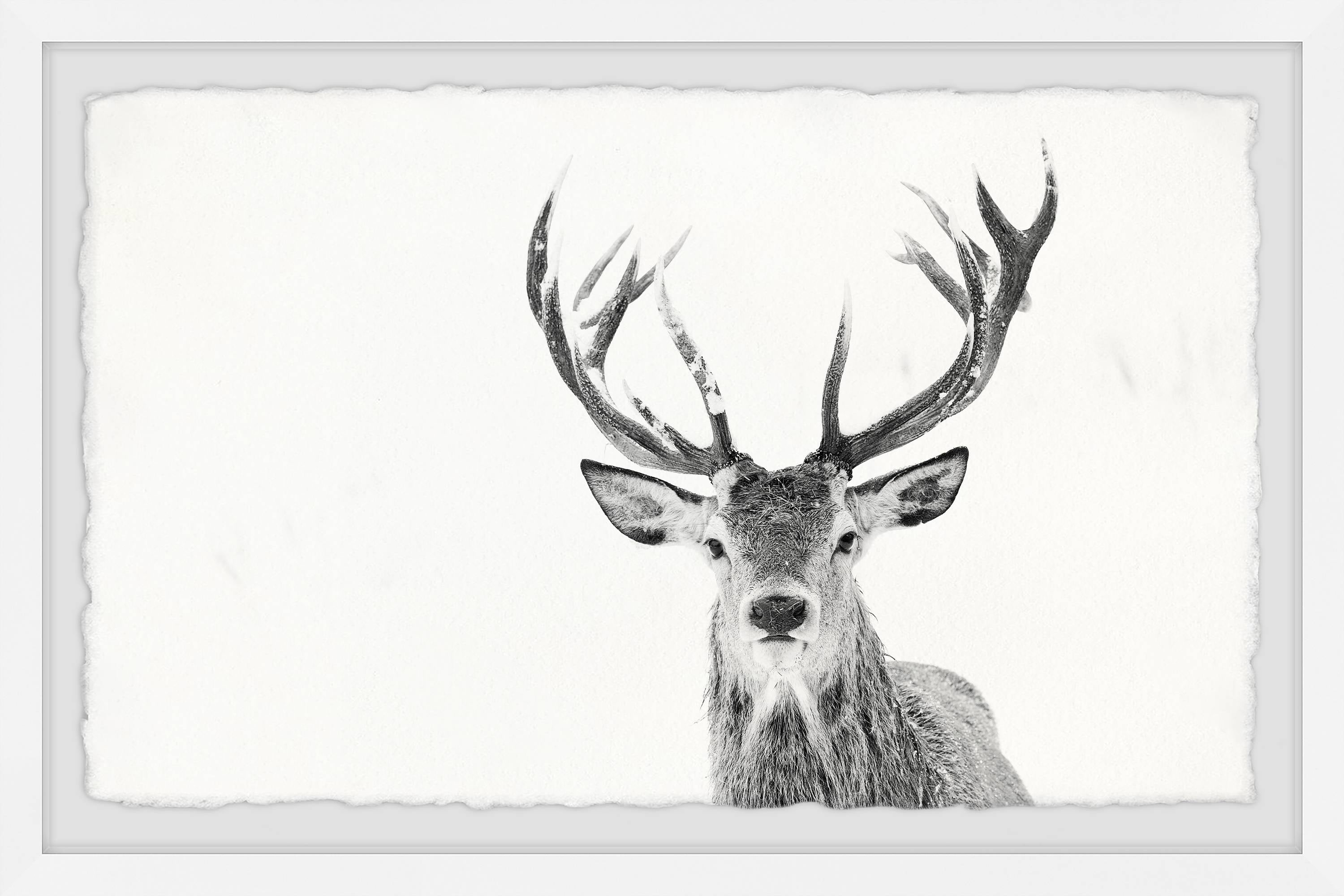 Marmont Hill Majestic Antlers Framed Wall Art, 24" x 36"