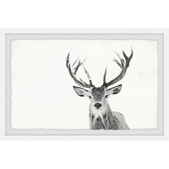 Marmont Hill Majestic Antlers Framed Wall Art, 8" x 12"
