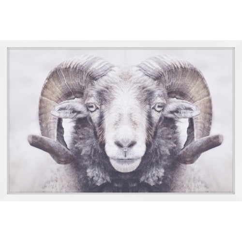 Marmont Hill "Majestic Curled Horns" Framed Painting Print