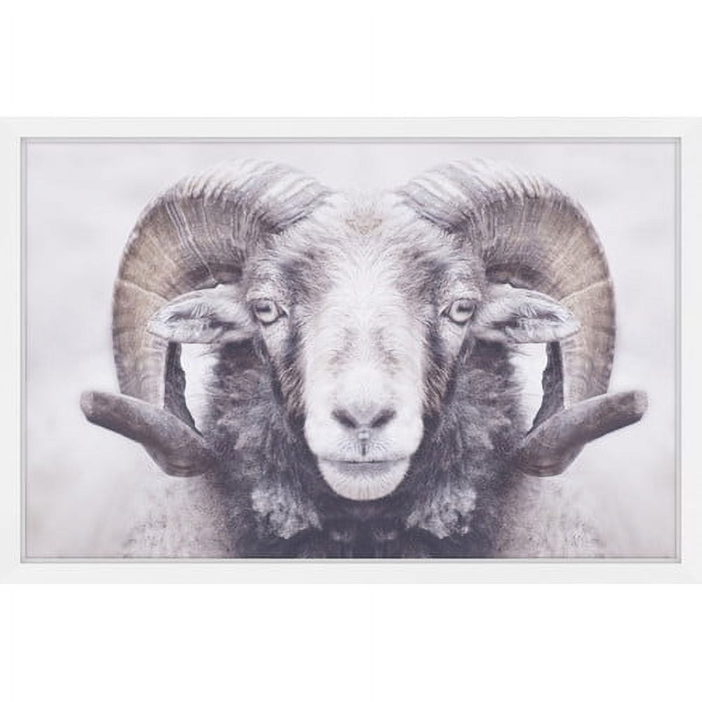 Marmont Hill "Majestic Curled Horns" Framed Painting Print