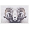 thumbnail image 1 of Marmont Hill "Majestic Curled Horns" Framed Painting Print, 1 of 5