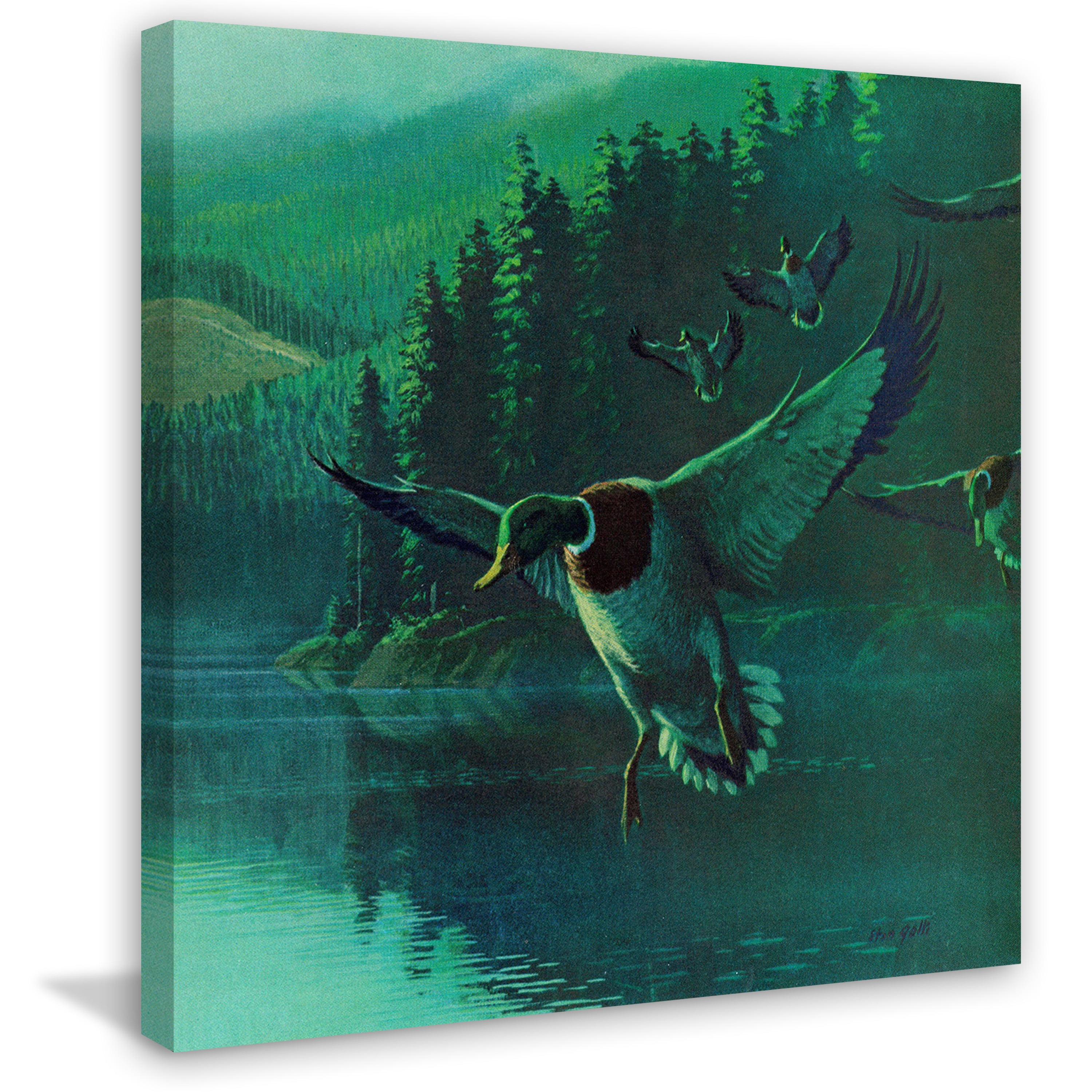 Mallard Duck Landscape Canvas Print, 40" x 40"