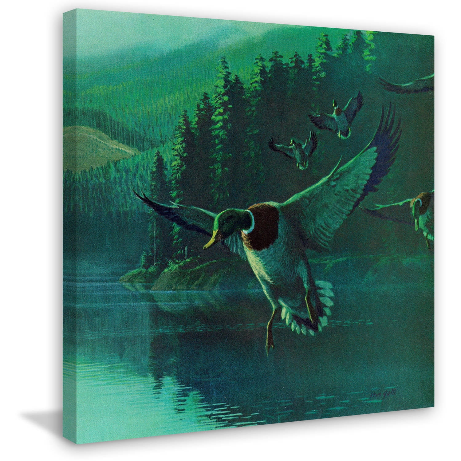 Mallard Duck Landscape Green Canvas Print, 18" x 18"