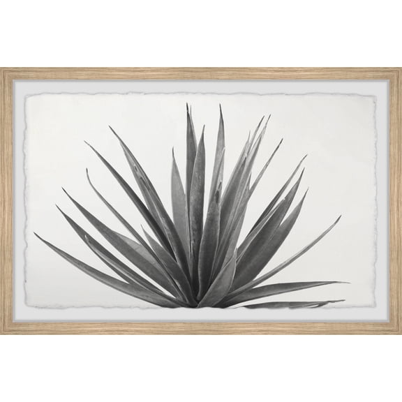 Marmont Hill Marginata Framed Wall Art, 12" x 18"
