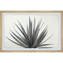 Marmont Hill Marginata Framed Wall Art, 8" x 12"