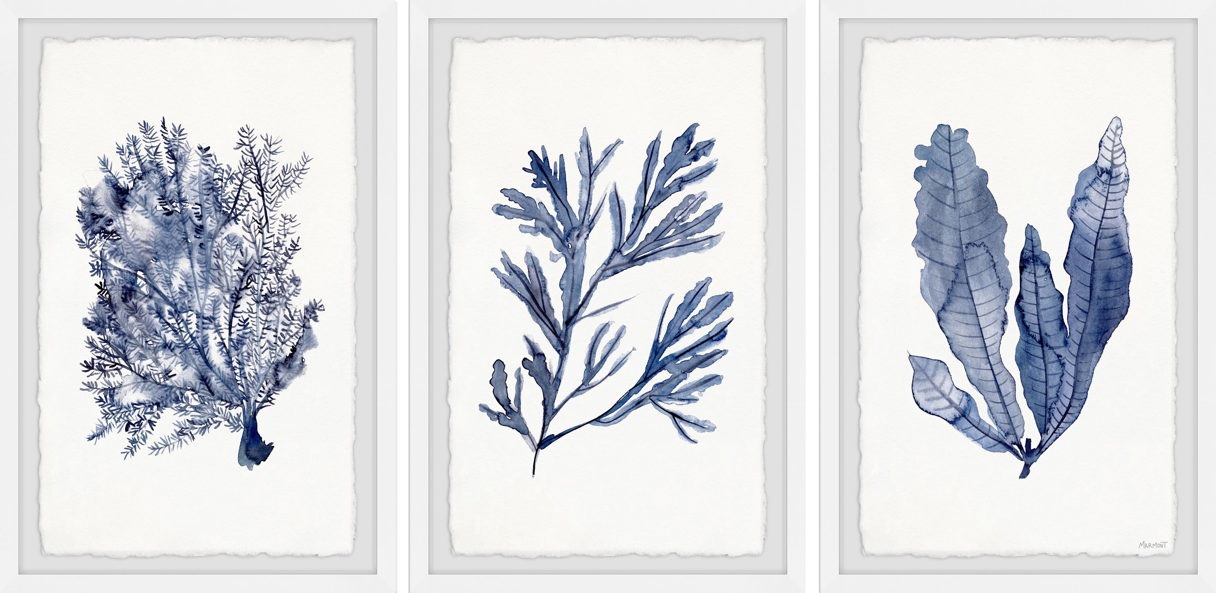 Blue Seaweed Watercolor Triptych on White Canvas