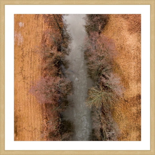 Marmont Hill "Marshy Path" by Karolis Janulis Framed Painting Art Print
