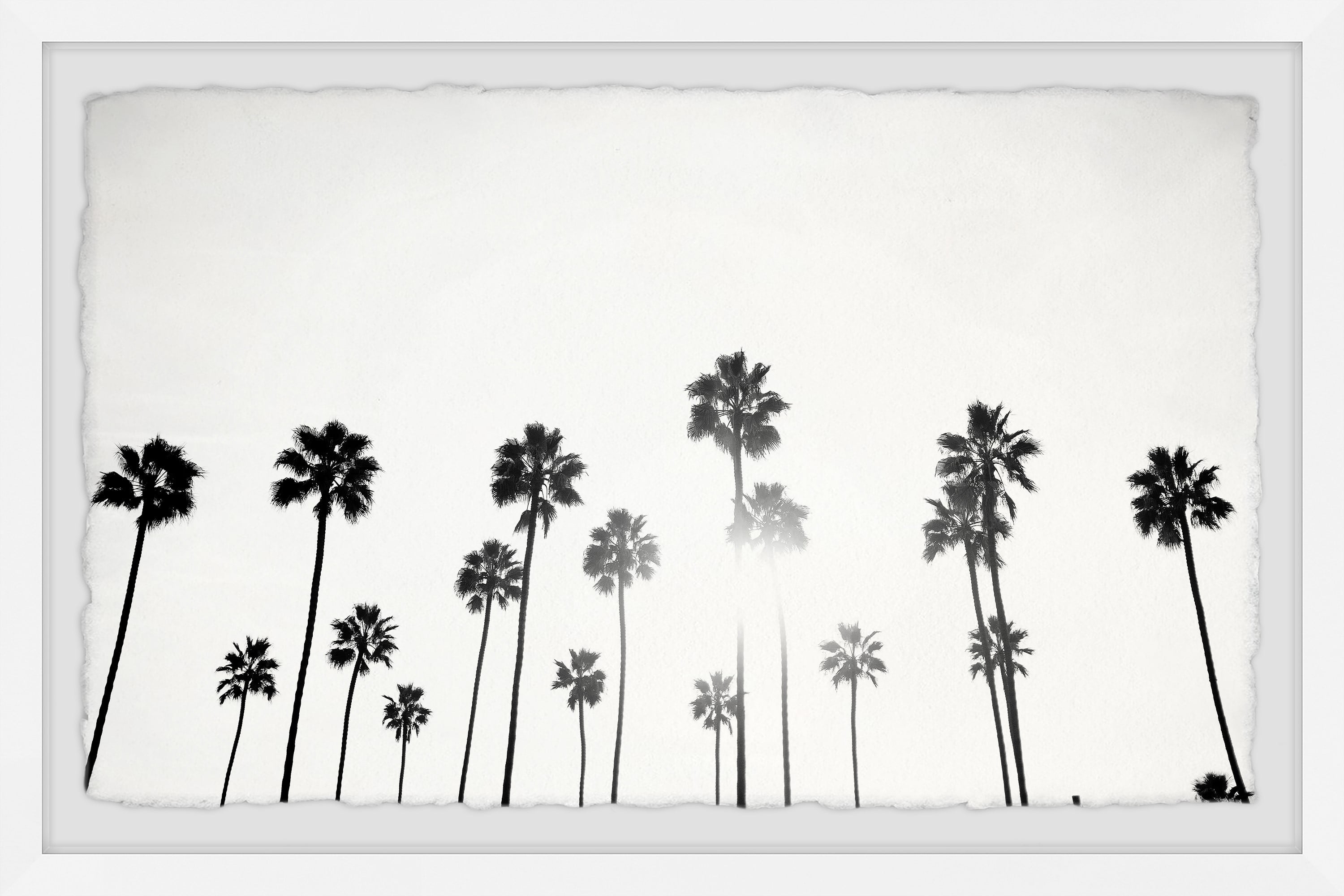 Marmont Hill Mass of Palm Trees Framed Wall Art, 8" x 12"