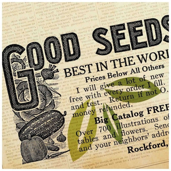 Marmont Hill Mh-Fmkit-172-C-48 48" X 48" "Going Green 6" Giclee Art Print On Stretched