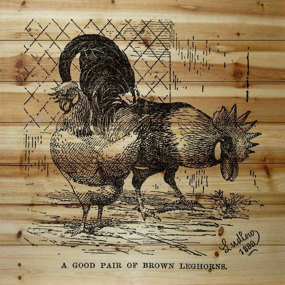 Marmont Hill Mh-Fmkit-23-Bdw-24 24" X 24" "Brown Leghorns" Giclee Art Print On Wood