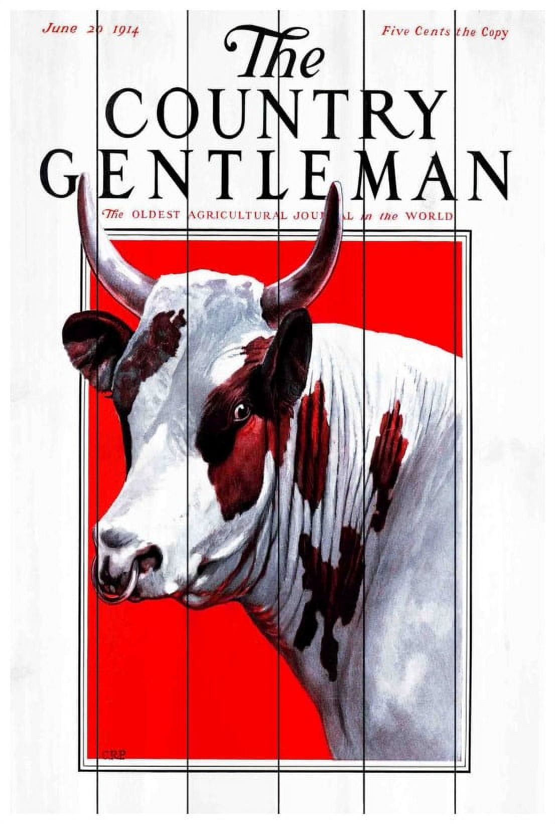 Marmont Hill "CG Bull" Painting Print on White Wood