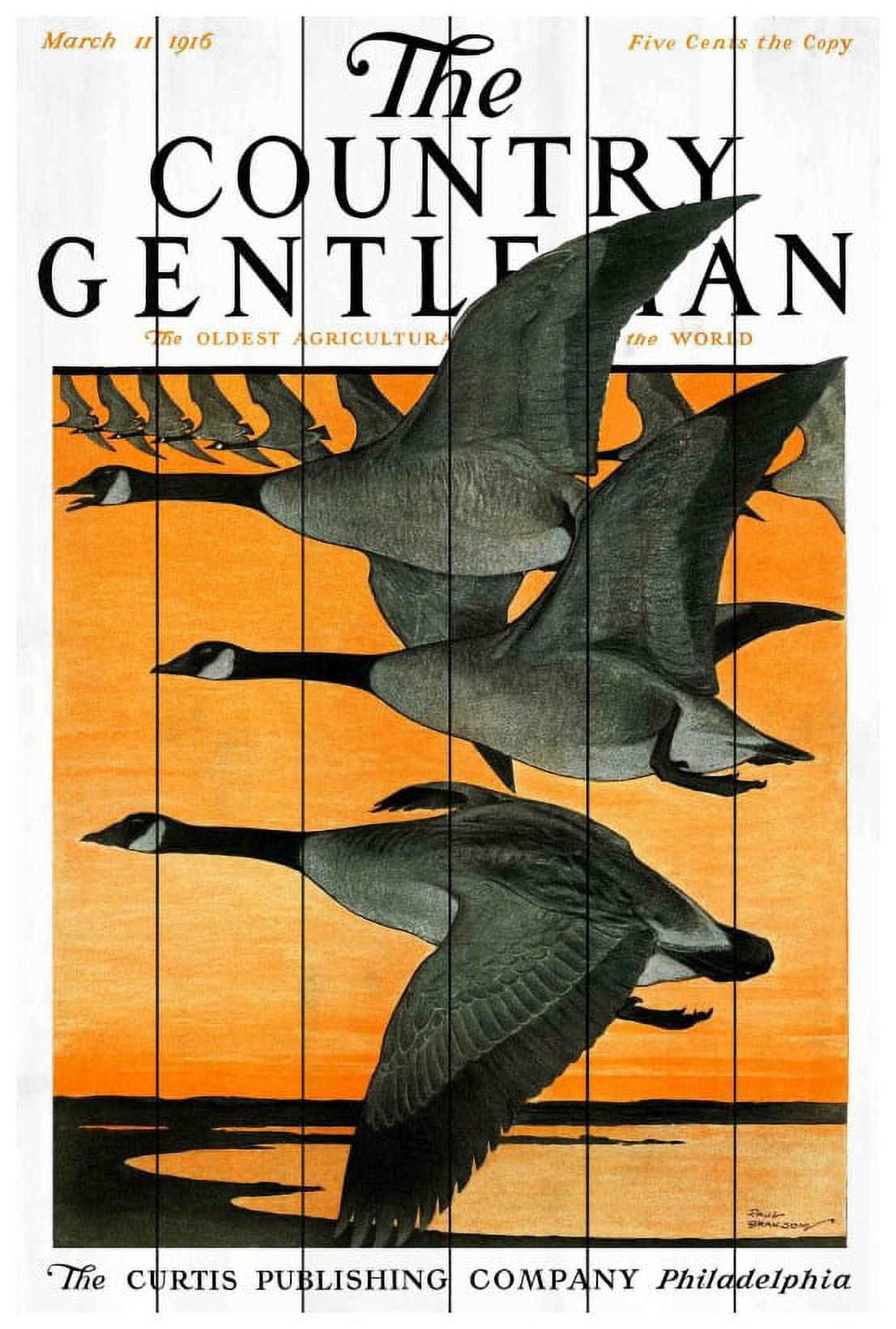 Marmont Hill Inc Marmont Hill - 'CG Geese' Painting Print on White Wood