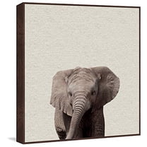 Marmont Hill Mh-Margio-8816-Dwffdl-32 32" X 32"