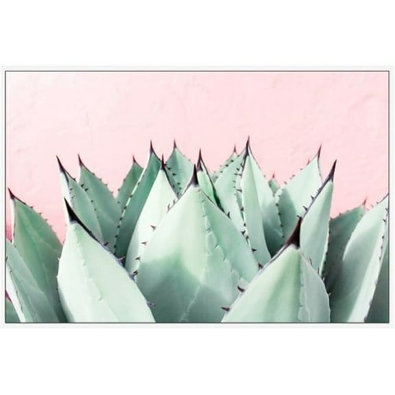Marmont Hill Mh-Morhar-145-Wff-24 16" X 24" "Sweet Succulents" Framed Giclee Painting On